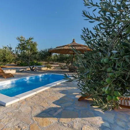 Eco Solus With Pool