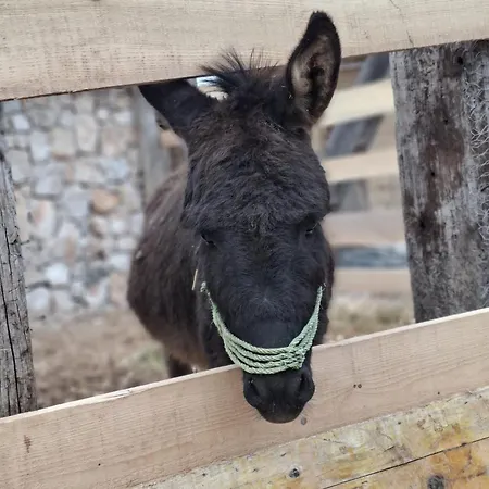 Eco Solus With Pool *