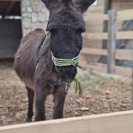 Eco Solus With Pool Villa Drage