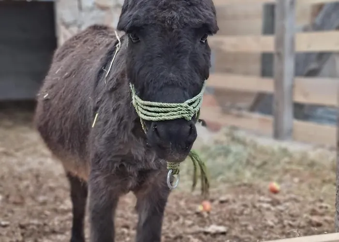 Eco Solus With Pool Villa Drage