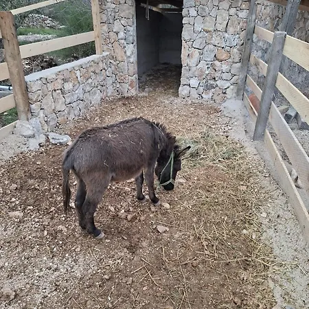 Eco Solus With Pool *