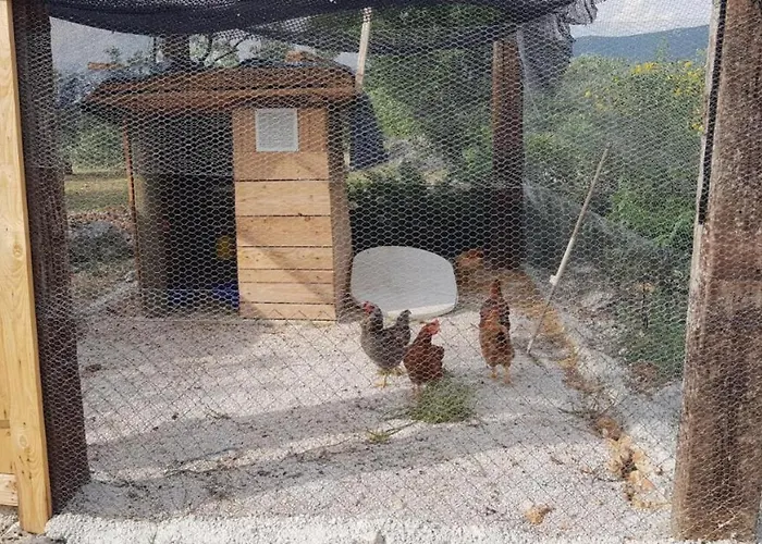 Villa Eco Solus With Pool Drage